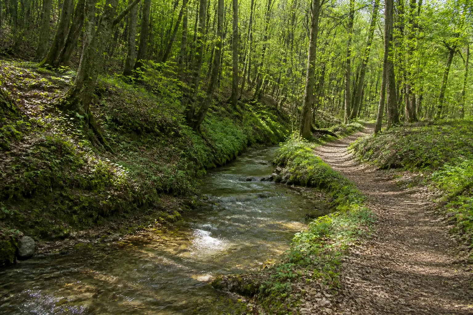 Woodland stream and walking path representative of the countryside near Zagreb