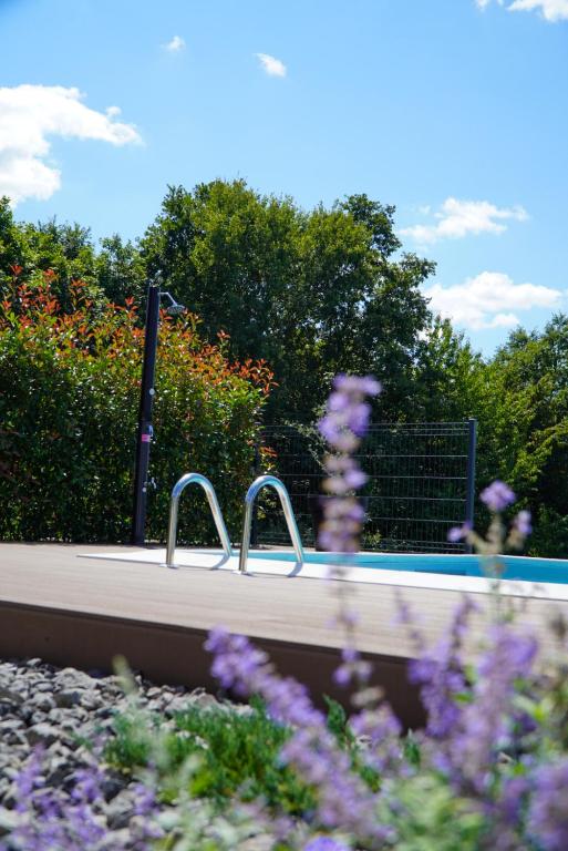 Flowers beside the private pool