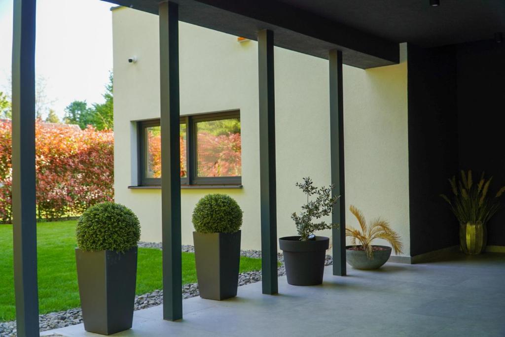 Potted plants beside the sheltered villa entrance