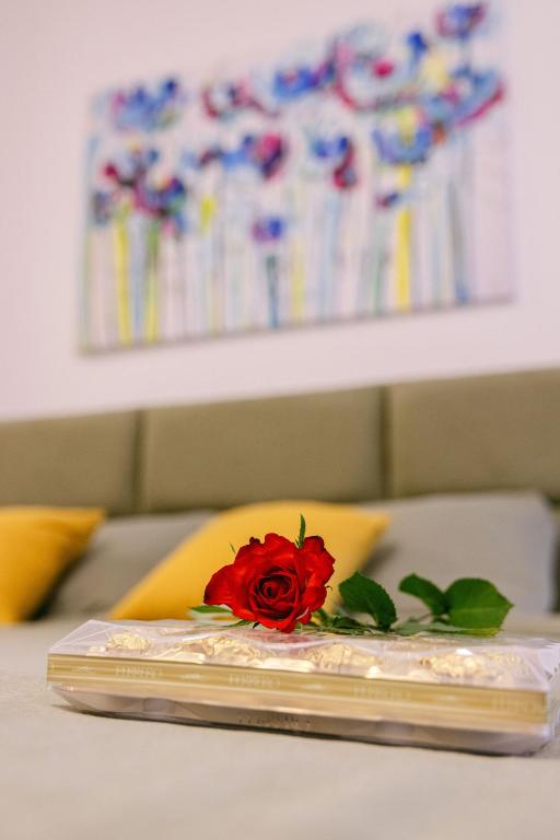 Fresh towels and a rose prepared in a bedroom