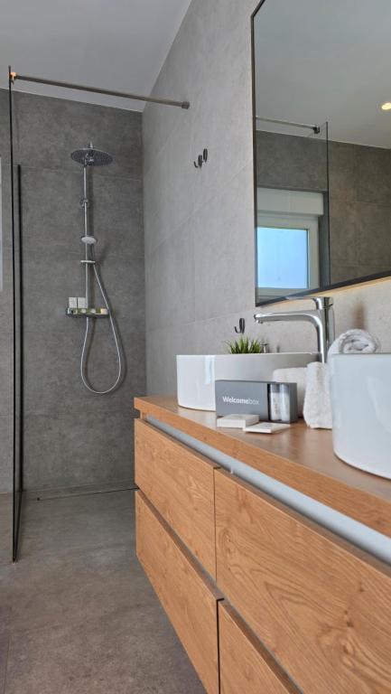 Walk-in shower and guest amenities