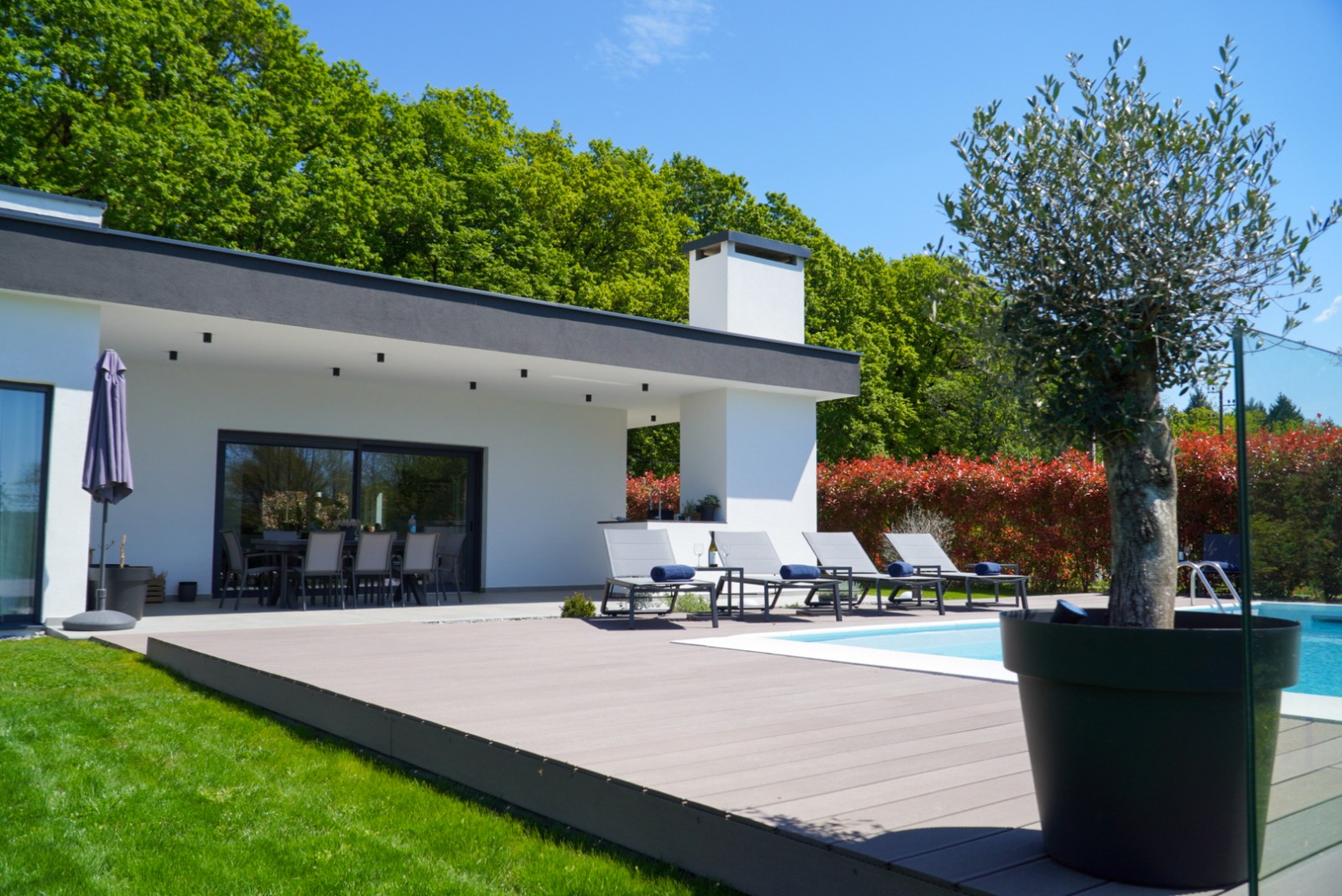 Villa Tomaté framed by its pool terrace and olive tree